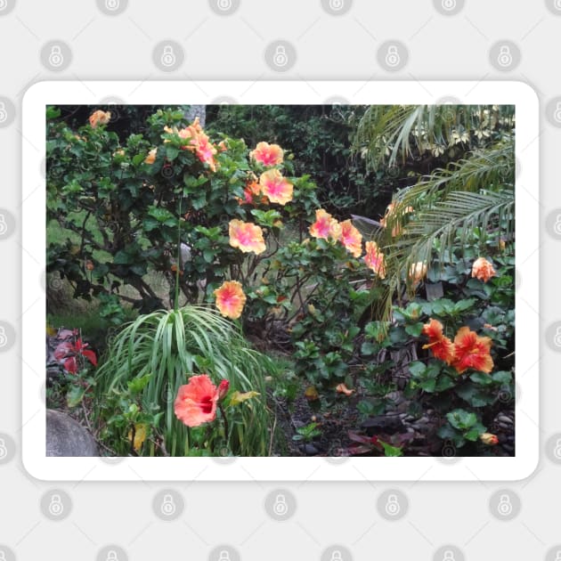 Jungle Garden Sticker by jennyleeandjim